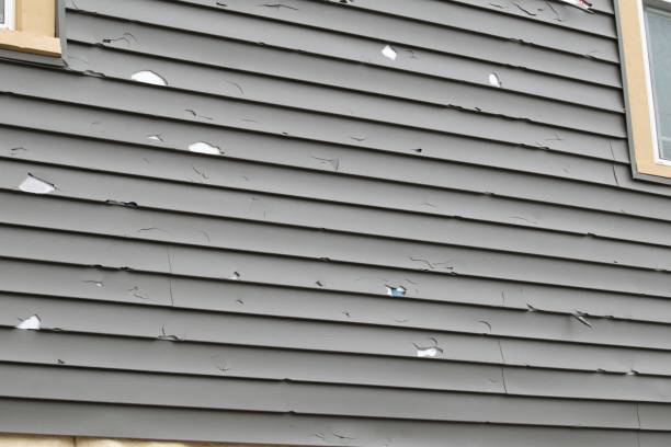 Property Management Cleanouts in Bourg, LA