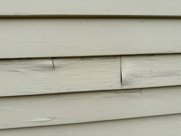 Best Same-Day Junk Removal Services  in Bourg, LA